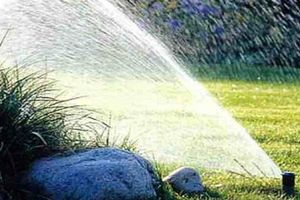 Automatic watering system