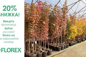 Enter promo code AirPot and get -20% on all shade trees!