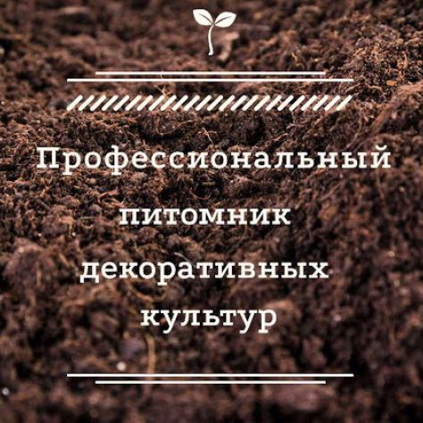 Профессиональный питомник декоративных растений Флорэкс Украина