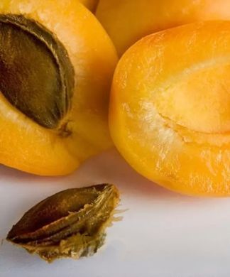 Prunus armeniaca - Абрикос Ананасовий