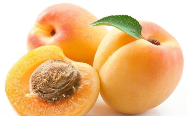 Prunus armeniaca - Абрикос Ананасовий